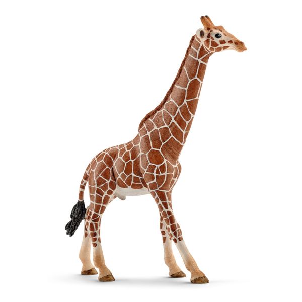Schleich Wild Life - Giraffe, Male (17cm Tall)