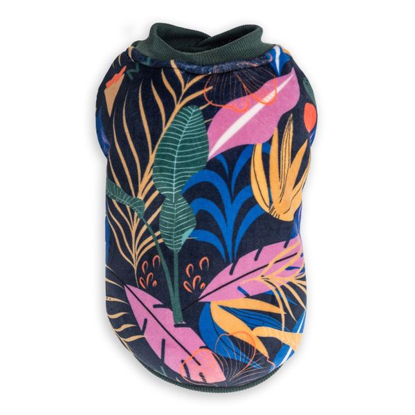 Dogs Days Forest and Tiger Sweatshirts Green