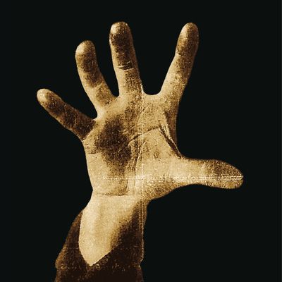 System of a Down (Vinyl / 12" Album)