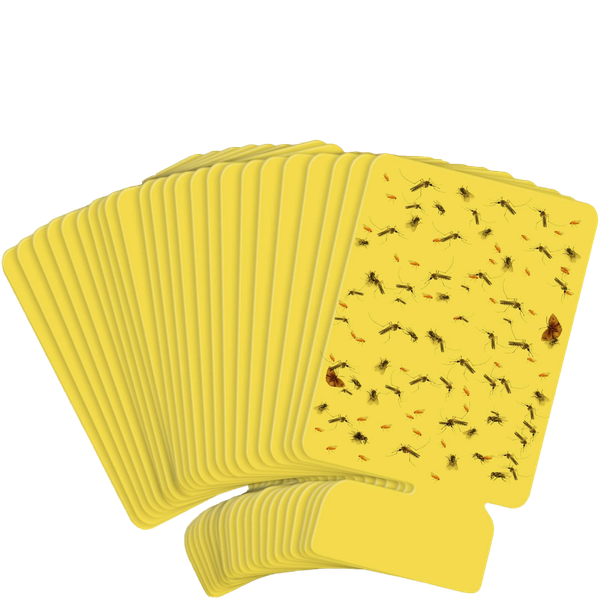24 Fruit Fly Traps, Yellow Sticky Gnat Traps, Indoor Insecticides