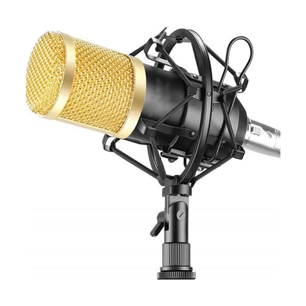 Professional Condenser Microphone Kit