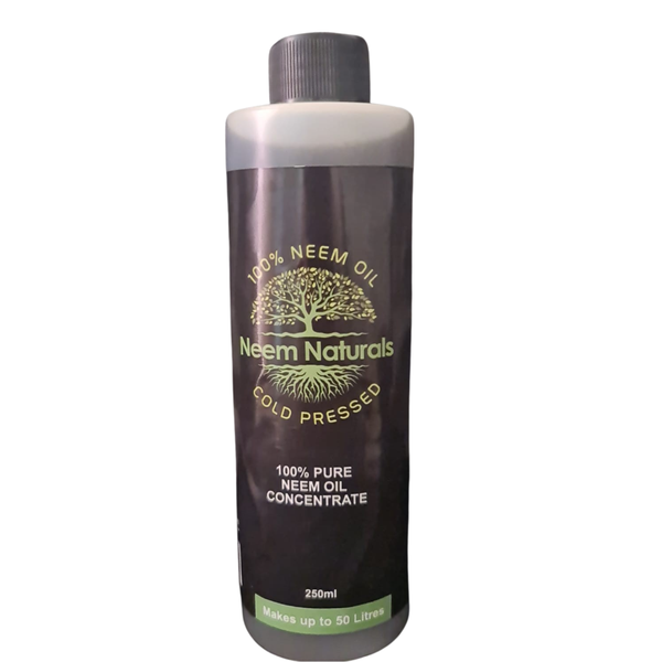 Neem Naturals Neem Oil Pure Concentrate (Cold Pressed) -250ML