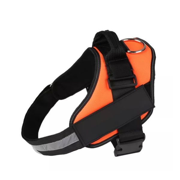 Dog Harness &amp; Lead - Orange