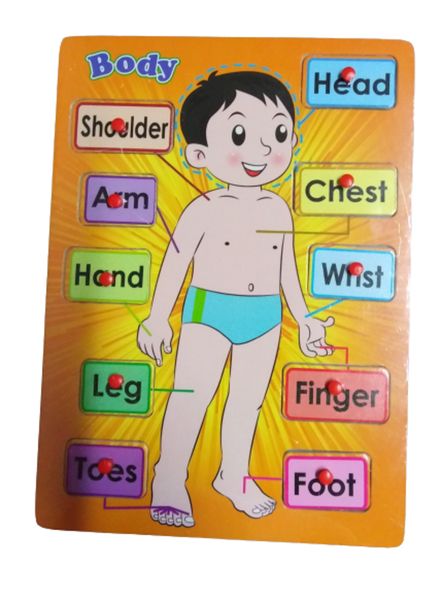 My Body Wooden Puzzle