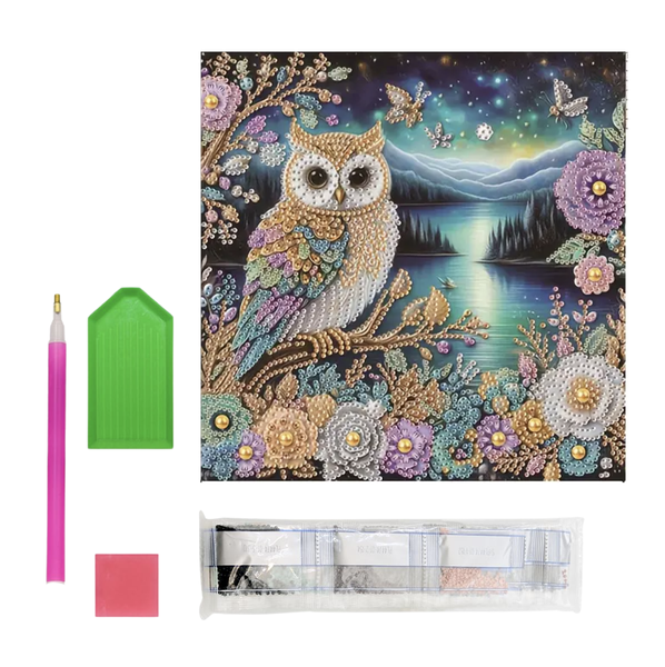 30cm 5D Diamond Painting By Numbers Kit - Night Owl