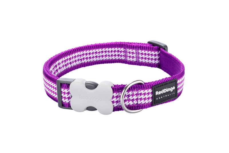Red Dingo Design Collar - Fang it Purple