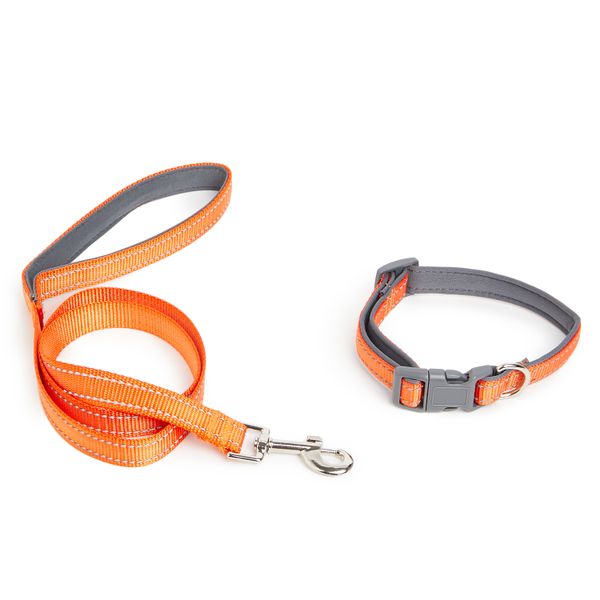 Wiggle Dog Collar with Leash - Orange
