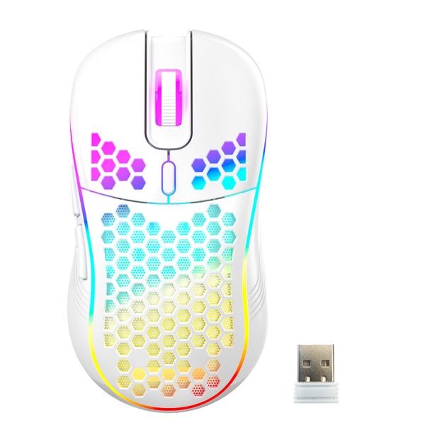Wireless Mouse Wireless Gaming Mouse Adjustable Lightweight for PC,Laptop