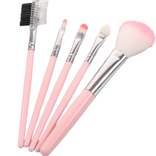 5-Pack Eye Print Blush Makeup Beauty Matching Makeup Tool Kit