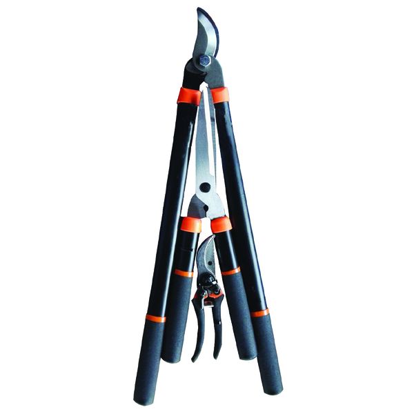 Pruning Set 3 Pieces