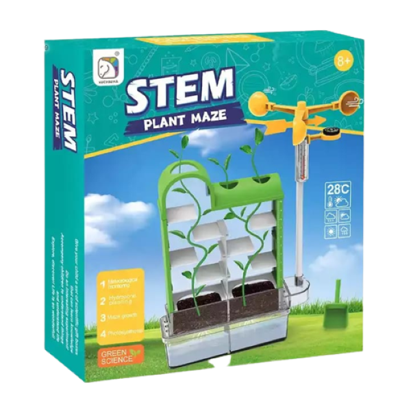 STEM Plant Maze