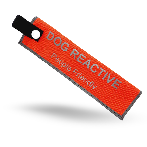 Safe Strides Alert Sleeve