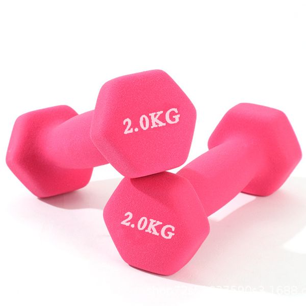 2 Piece Set Hexagonal Dumbbells Non-slip Fitness Equipment Home
