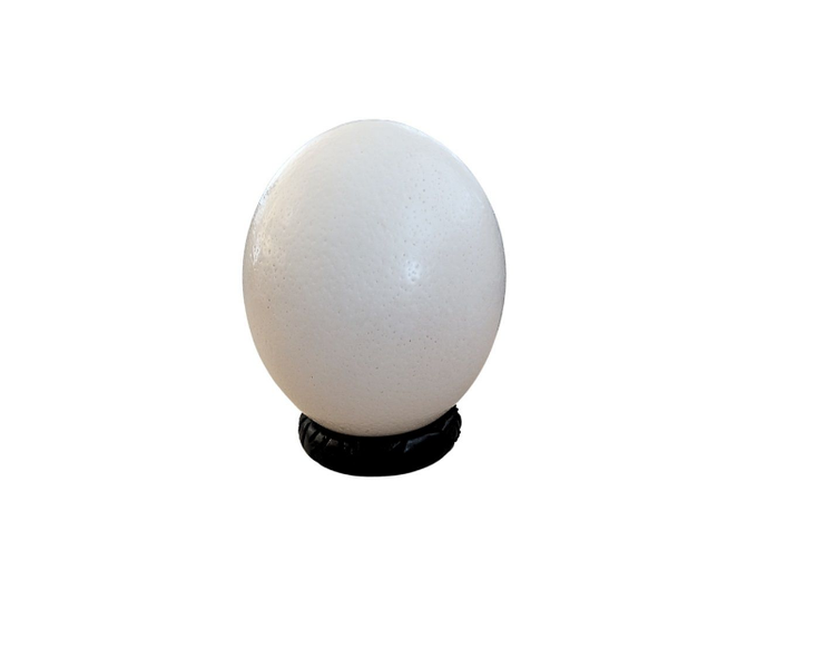 Wildlife Ostrich Egg Decor Masterpiece on Wood Stand
