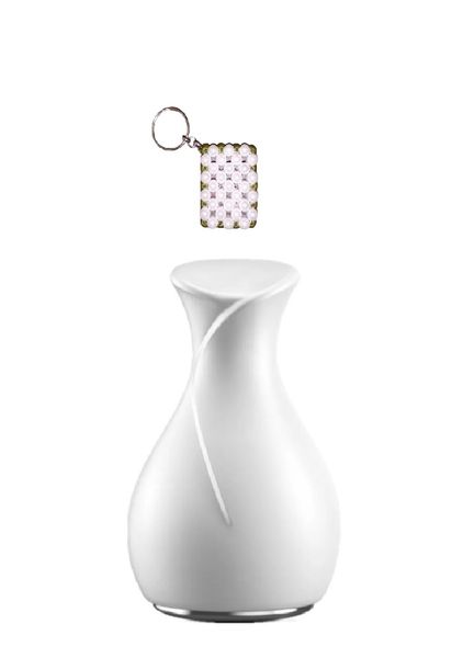 1831385 Ice Compress For Face And A Keyholder