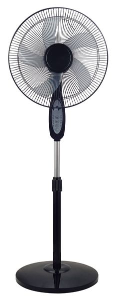 Homestar 40cm Remote Pedestal Fan