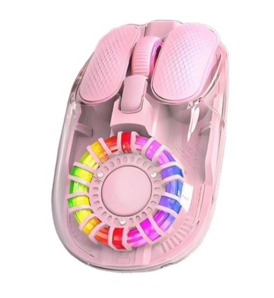 Portable Ergonomic Dual Mode Transparent RGB Wireless Bluetooth Mouse