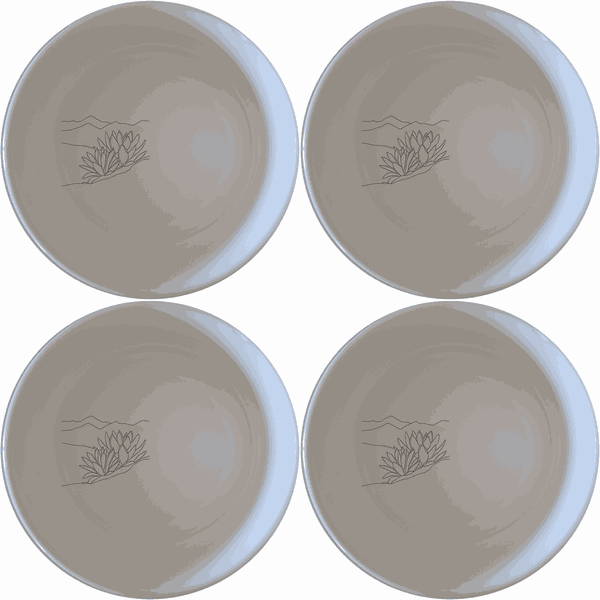 Karoo Desert Landscape Succulent Plants Bowl Set of 4 - Range 1