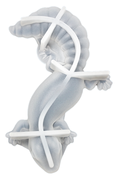 3D Gecko Silicone Mould (13cm length)
