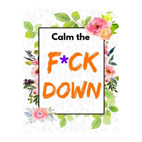 Calm The F Ck Down An Irreverent Adult Coloring Book With Flowers Flamingo Lions Elephants Owls Horses Dogs Cats And Many More Buy Online In South Africa Takealot Com