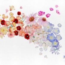 Flor (Vinyl / 12" Album)