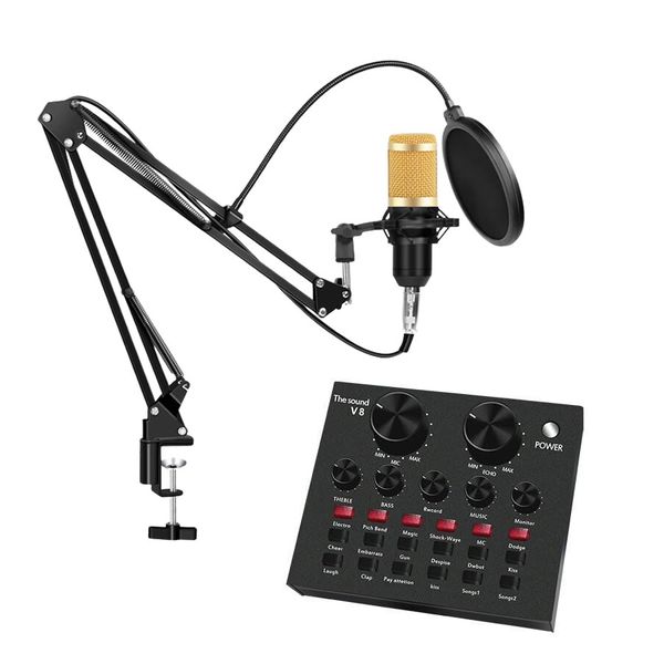 Studio Recording Microphone Kit With V8 Sound Card