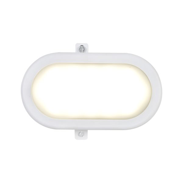 Eurolux Bulkhead LED Oval White 6W