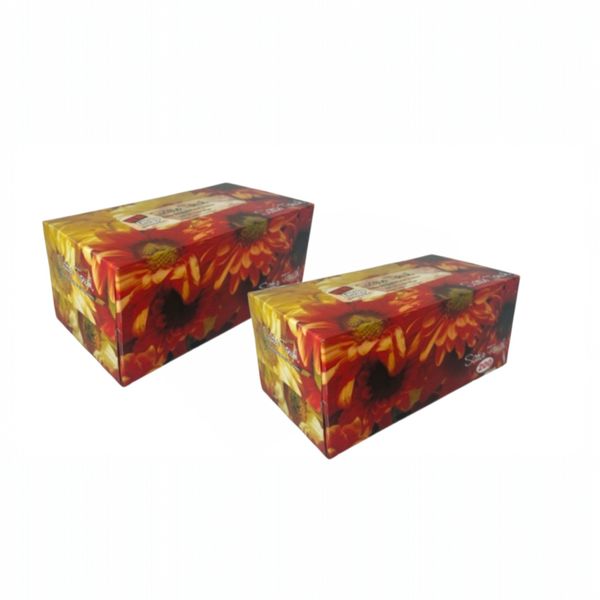 2 Pack - Satin Touch Ultra Smooth Facial Tissues 200 x 2Ply Tissues