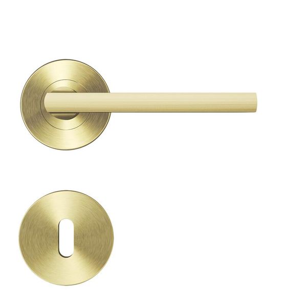 Dhr2023 Door Handle Rosace Lee Set 8 Brass Brushed Mat