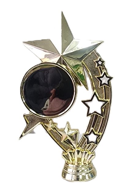 Pack of 5 Gold Trophies - Outstanding Achievement B208