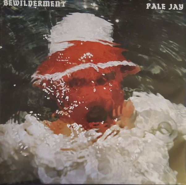Pale Jay - Bewilderment (Vinyl LP) 45rpm Album
