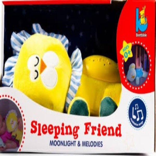 Sleeping Friend