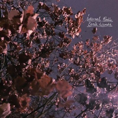 Internal Radio (Vinyl / 12" Album Coloured Vinyl)