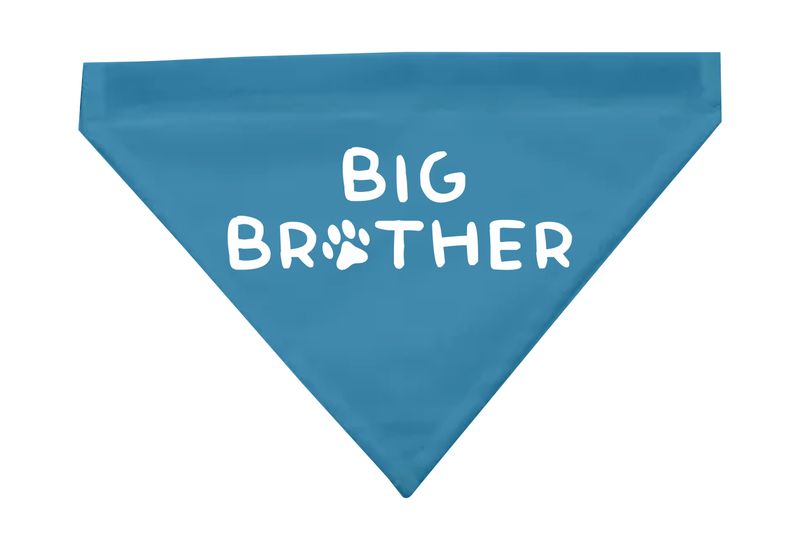 My Paws - Dog Bandana with Removeable Collar - Big Brother
