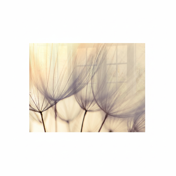 Dandelion Floret Decorative Glass Wall Tile 898mm x 700mm