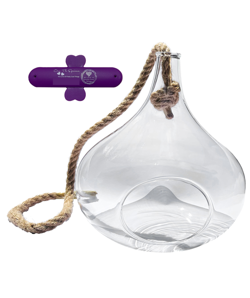 Hanging Glass Terrarium Planter/Vase