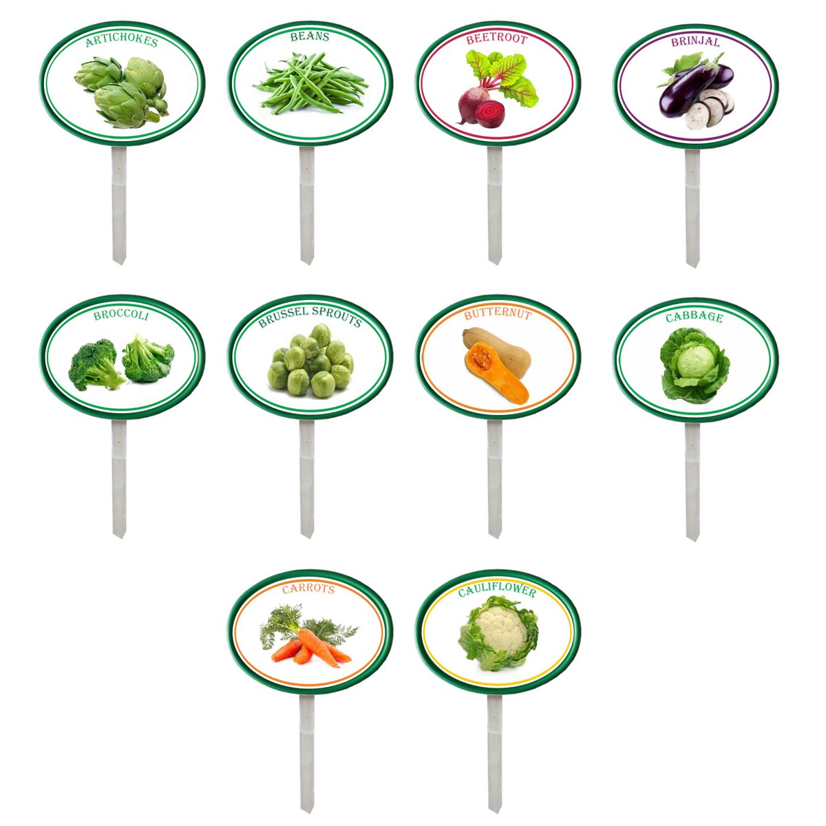 Garden pops vegetables pack 1 set of 10 shop today get it