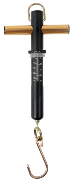 Fish Scale Weight 25kg