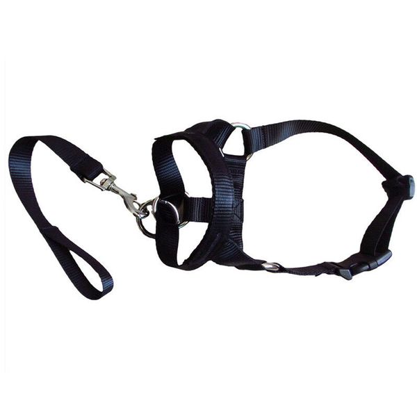 Pet Dog Training Muzzle And Lead Black