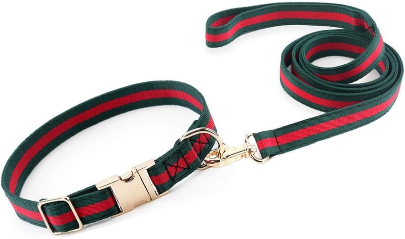 Adjustable Premium Durable Dog Collar Metal Buckle For Medium Dogs