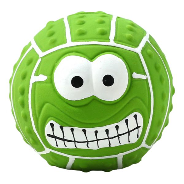 Latex Squeaky Dog Balls (2 Pack) - Teething Chew Toys