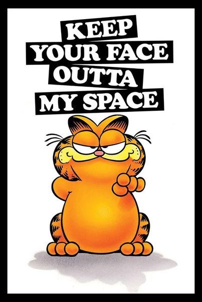 Garfield (Keep Your Face Outta My Space) Poster with Black Frame