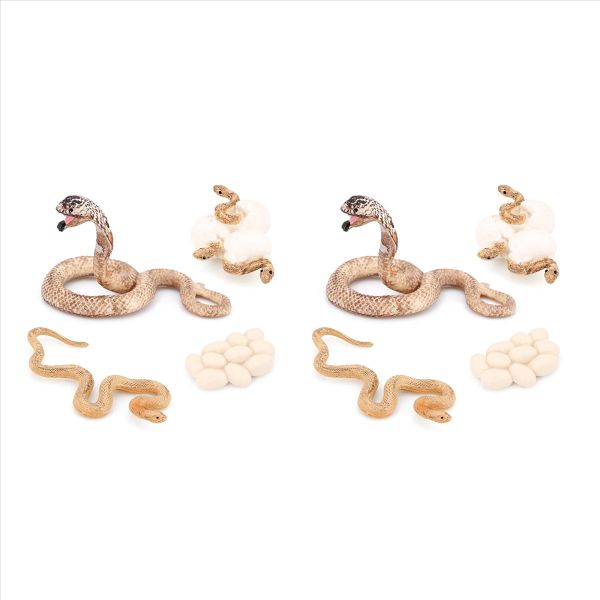 Animal Life Growth Cycle Model Toys Model Cobra Growth Cycle