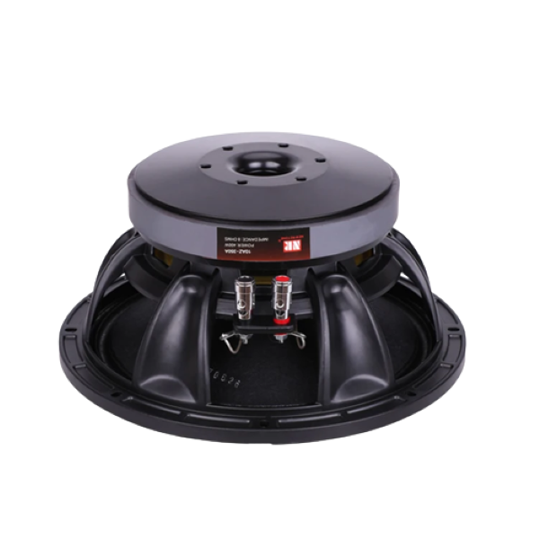 High Quality 450W 10inch Speaker/Subwoofer