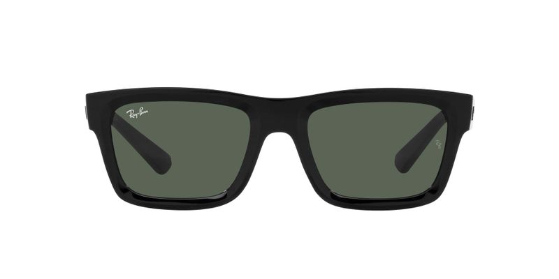 Ray-Ban Warren Sunglasses RB4396 667771 54