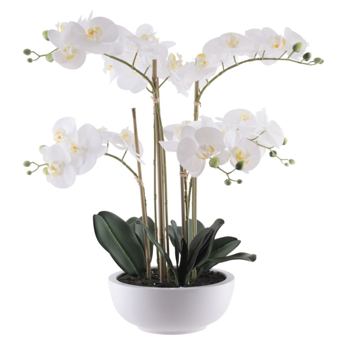 Realistic Elegant Silk Orchids | Shop Today. Get it Tomorrow ...