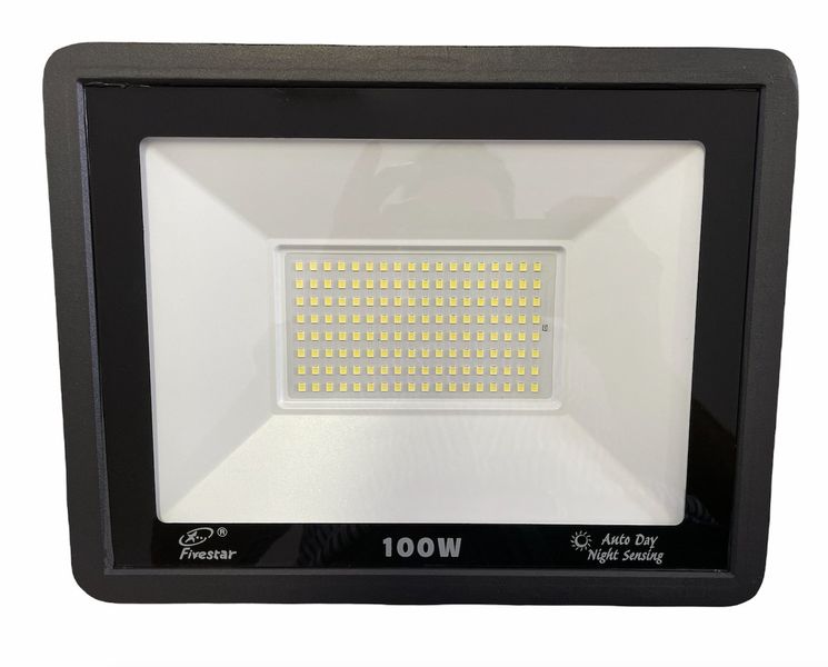 Day Night Sensor Floodlight100w