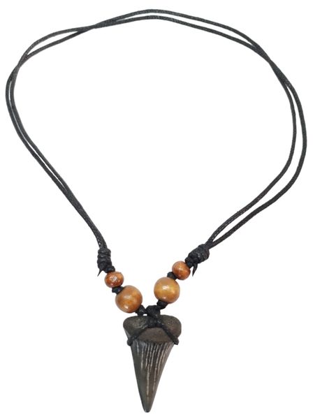 Fossilized Shark Tooth Necklace - 3.4cm x 2.2cm - Medium