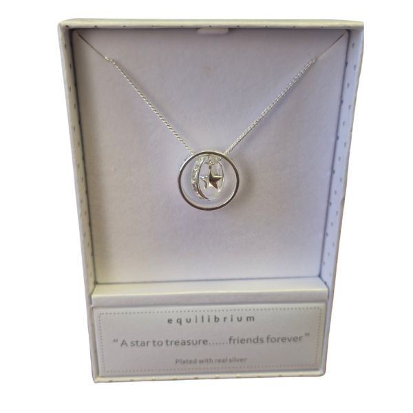 Equilibrium Silver Plated Pendant Necklace Double Rings Friends Forever