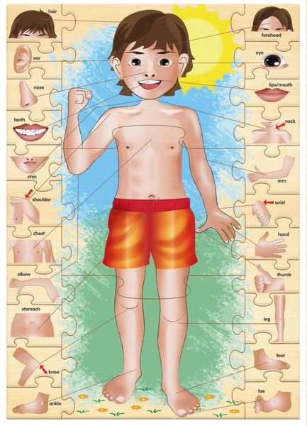 RGS Group - My Body Parts Educational Puzzle Game - Wooden